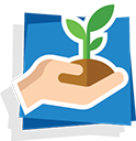 An image of a hand holding a sprouting plant